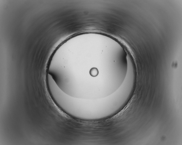 X0000099401333200806051159