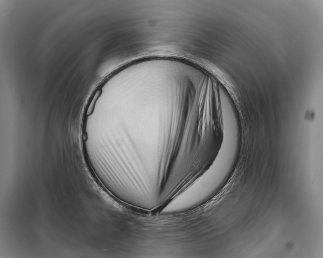 X0000099401334200806051159