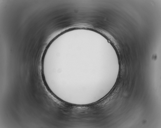 X0000099401335200806051159