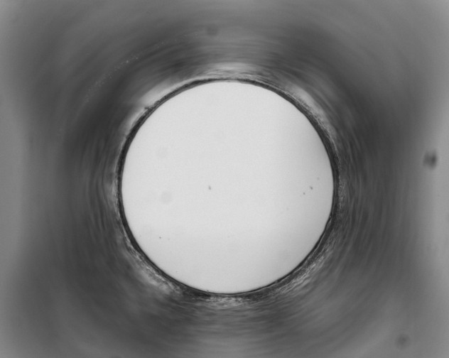 X0000099401336200806051159