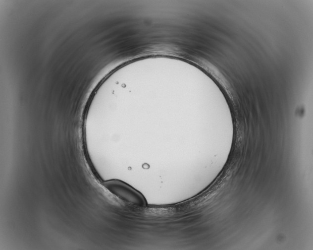 X0000099401339200806051159