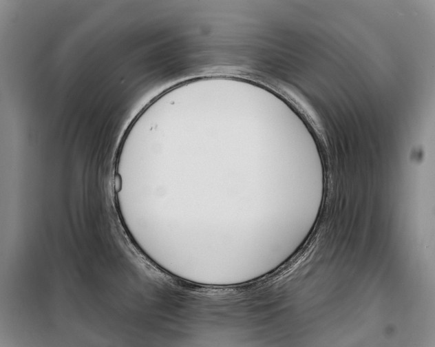 X0000099401340200806051159