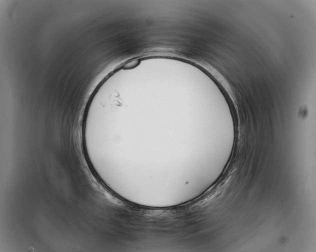 X0000099401341200806051159