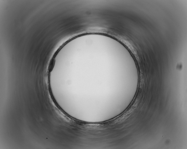 X0000099401342200806051159