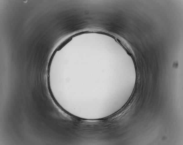 X0000099401343200806051159