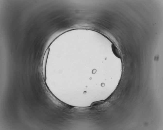 X0000099401344200806051159