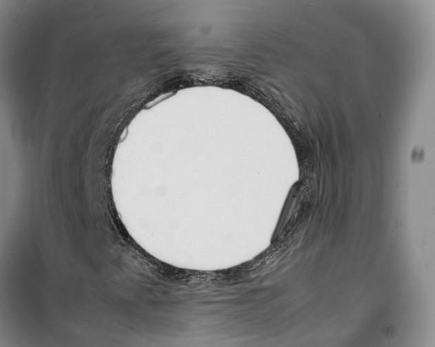 X0000099401345200806051158