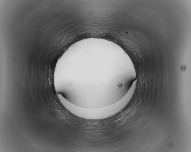 X0000099401346200806051158
