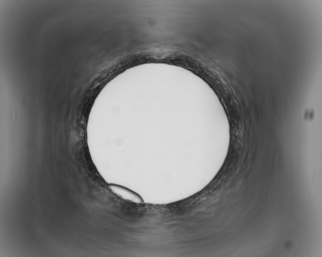 X0000099401349200806051158