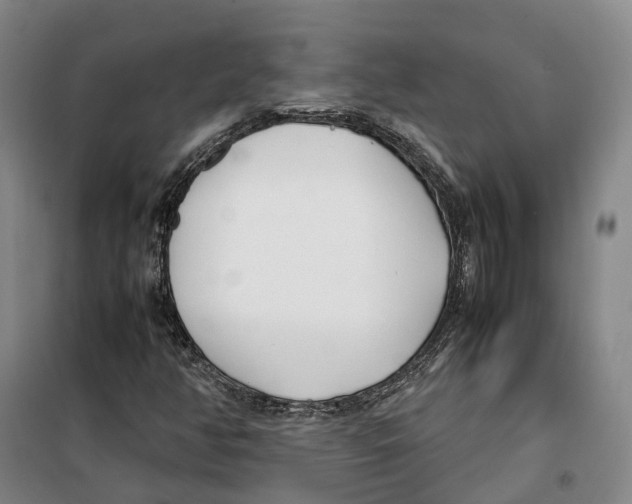X0000099401350200806051158