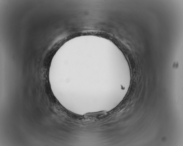 X0000099401351200806051158