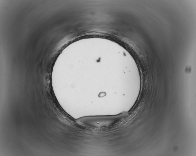 X0000099401355200806051158