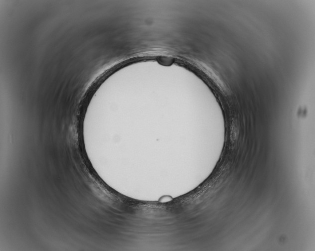 X0000099401356200806051158