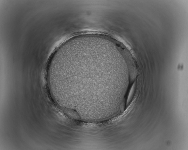 X0000099401357200806051158