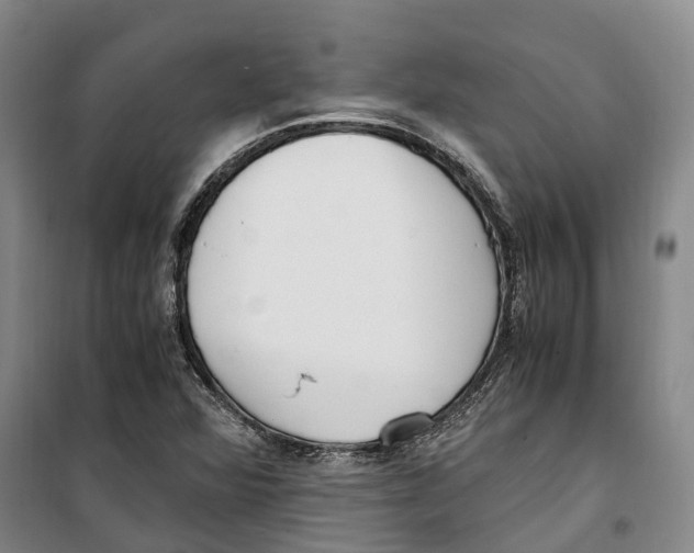 X0000099401360200806051158