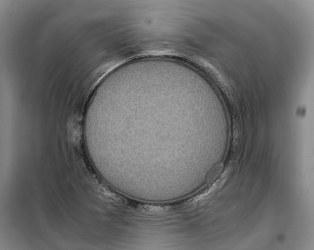 X0000099401361200806051158