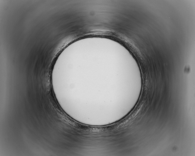 X0000099401362200806051158