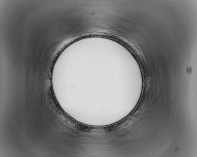 X0000099401363200806051158