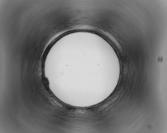 X0000099401364200806051158