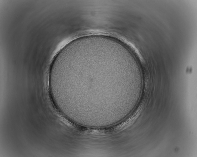 X0000099401365200806051158