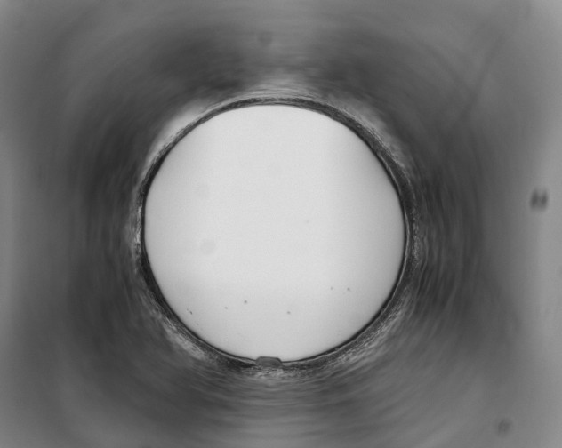 X0000099401366200806051158