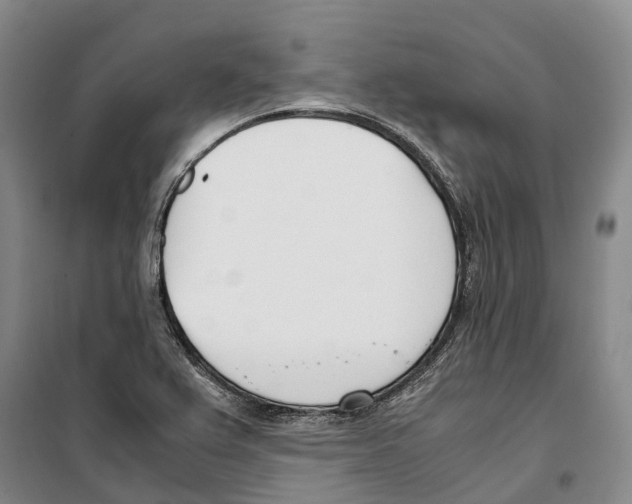 X0000099401367200806051158