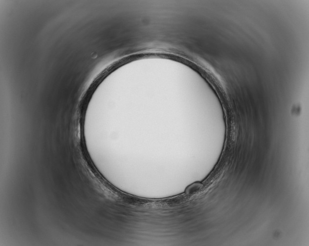 X0000099401368200806051158