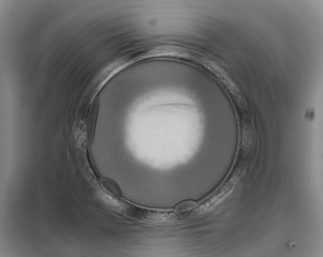 X0000099401369200806051158