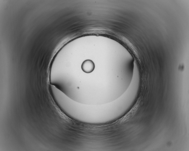 X0000099401370200806051158