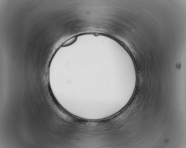 X0000099401371200806051157