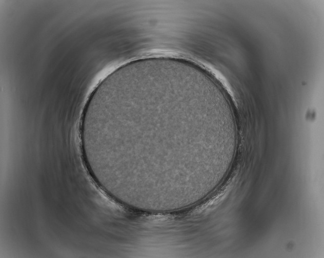 X0000099401373200806051157