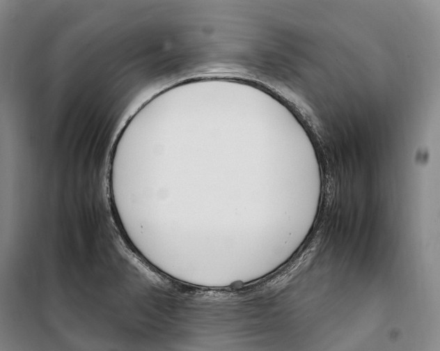 X0000099401374200806051157