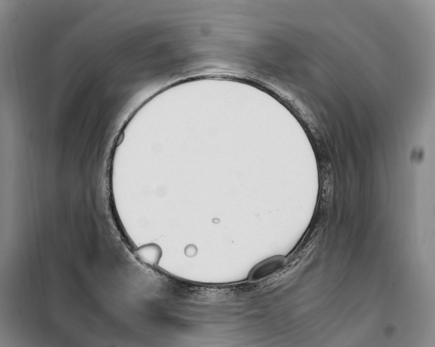 X0000099401375200806051157