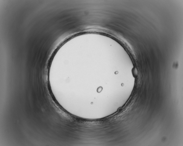 X0000099401376200806051157