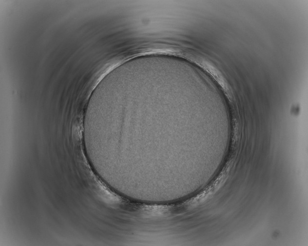 X0000099401377200806051157