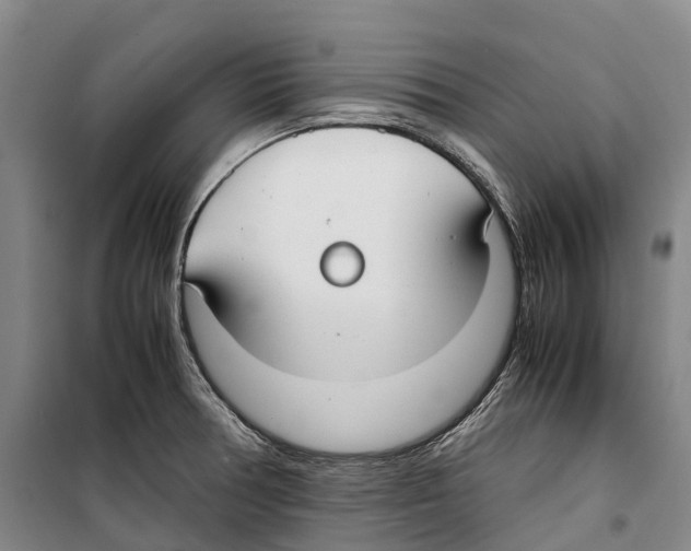 X0000099401378200806051157