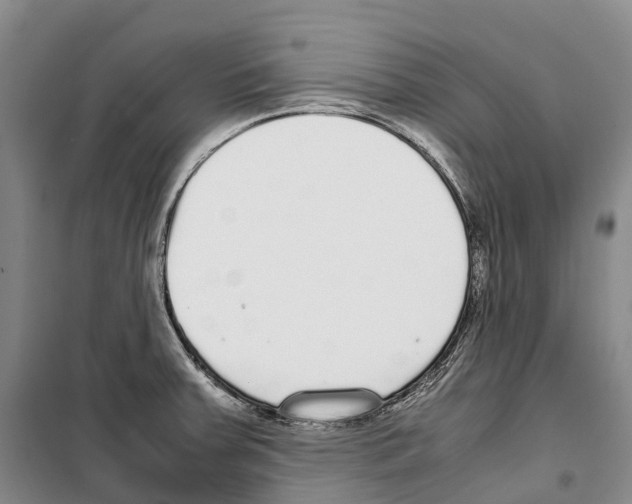 X0000099401379200806051157