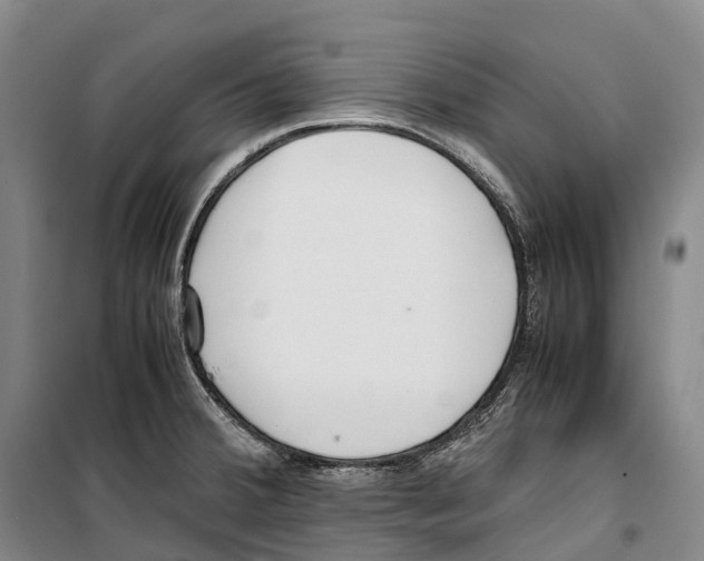 X0000099401380200806051157