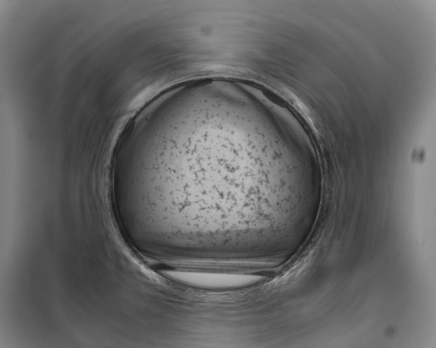 X0000099401381200806051157