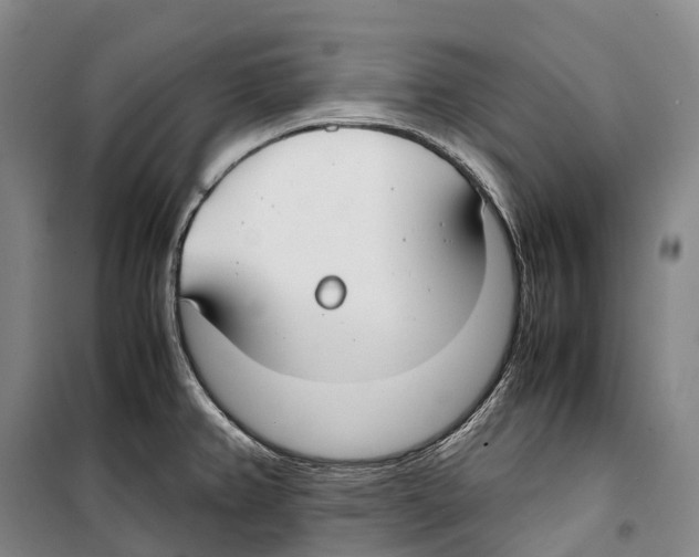 X0000099401382200806051157