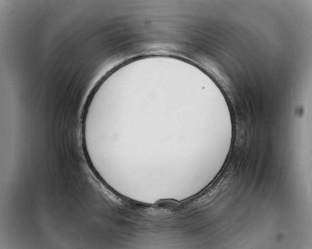 X0000099401384200806051157