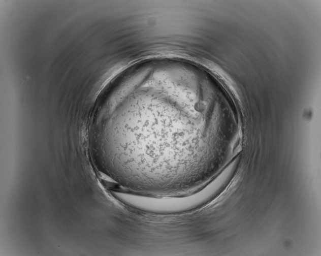 X0000099401385200806051157