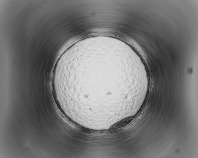 X0000099401386200806051157