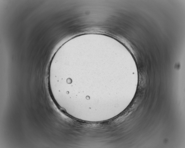 X0000099401387200806051157