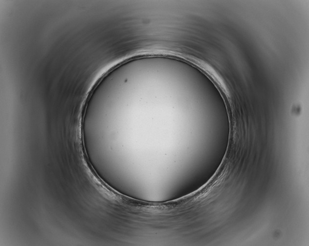 X0000099401388200806051157