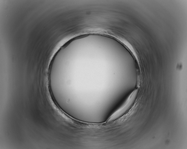 X0000099401389200806051157