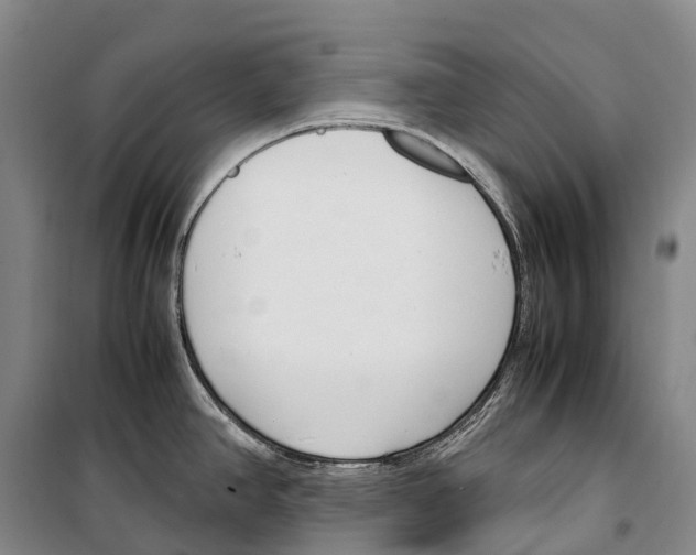 X0000099401390200806051157