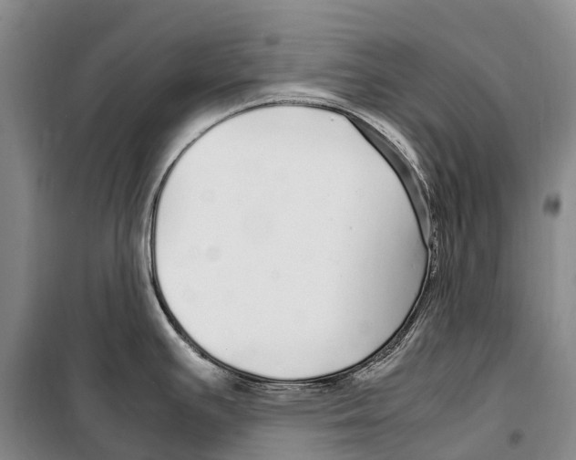 X0000099401391200806051157