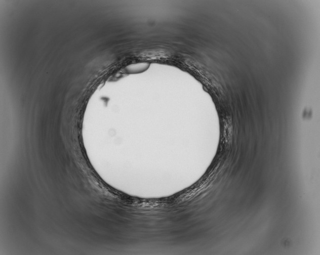 X0000099401393200806051156