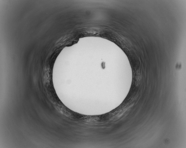 X0000099401394200806051157